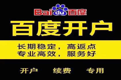 百度网络推广案例：揭秘行业巨头如何实现全网霸屏